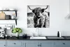 MuchoWow® Poster Schottischer Highlander - Natur - Kuh - Produktbild-Vorschau 3