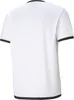 Puma teamLIGA Jersey PUMA WHITE-PUMA BLACK PUMA WHITE-PUMA Voir les images du produit 2