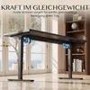 FLEXISPOT EC5-Lite Elektrisch Höhenverstellbares Produktbild-Vorschau 4