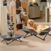 Two dogs are resting on elevated pet beds in a room with bookshelves and furniture. Produktbild-Vorschau