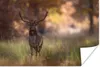 MuchoWow® Poster Hirsche - Gras - Herbst 90x60 cm - Produktbild-Vorschau 1
