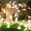 A string of star-shaped LED lights is draped over a woven basket and green grass. Anteprima dell’immagine prodotto