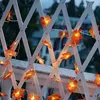 3m LED Ahornblatt Lichterkette Ahornblätter Girlande Produktbild-Vorschau 7