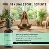 Schachtelhalm Extrakt Kräuter Tropfen alkoholfrei 100 ml Produktbild-Vorschau 2