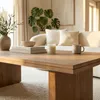 Couchtisch MALABO, 120 x 60 cm aus Mangoholz, Hellbraun - Produktbild-Vorschau 3