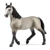 Cheval de Selle Français Jument Voir les images du produit 1
