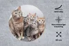 MuchoWow® Mauspad Mousepad Katze - Kätzchen - Fell 30x30 cm Produktbild-Vorschau 2
