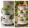 Tour à plantes Relaxdays, jardin vertical, empilable, sur Voir les images du produit 3