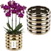 A potted orchid with purple flowers sits next to a stack of gold rings. Náhled obrázku produktu