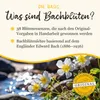 MURNAUERS fleurs de Bach Gouttes de sommeil, 20 ml de Voir les images du produit 8