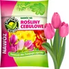Blumenzwiebel Dünger Für Tulpen Narzissen Krokusse Zwiebeln Produktbild-Vorschau 2