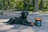 Dog Comets Meteor Shower (Seau avec 6 balles de jeu M Voir les images du produit 11