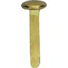 Q-Connect® KF02028 Musterbeutelklammern 80 Stück, Rundkopf, Anteprima dell’immagine prodotto 3
