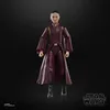 A Star Wars Black Series action figure of Padmé Amidala. Náhled obrázku produktu