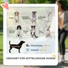PawHut hondenwagen, hondenbuggy, inklapbaar, geschikt voor Productafbeelding-voorbeeld 4