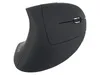 Equip Ergonomische Schnurlosmaus Produktbild-Vorschau 1