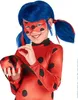 Käferlady - Umhängetasche Accessoire schwarz-rot - Produktbild-Vorschau 2