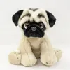 A plush toy pug sitting on a white background. Produktbild-Vorschau
