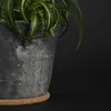 Esschert Design BPH163, Füße, Korkholz, Holz, 125 mm, 125 Produktbild-Vorschau 5