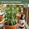 Green Home Love Nature Chili- und Paprikadünger 1 l, Produktbild-Vorschau 3