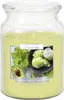 LARGE Bougie parfumée en pot BISPOL Aura 100H GARDEN MINT - Voir les images du produit 1
