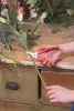 Felco 310 Leseschere Gartenschere Rosenschere Rebschere Náhled obrázku produktu 6