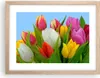 Gerahmtes Poster - Rahmen in heller Eiche - Tulpen Produktbild-Vorschau 1