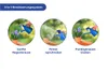 Three circular images show different ways to use a blue watering can on plants. The top has text about a "3-in-1 Watering System". Produktbild-Vorschau