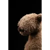 A close-up profile shot of a brown teddy bear against a black background. Podgląd zdjęcia produktu