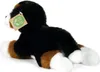 Peluche Bovaro del Bernese 24 Cm Ecologico Anteprima dell’immagine prodotto 5