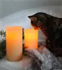 A cat curiously sniffing an LED candle next to another LED candle and some greenery. Podgląd zdjęcia produktu