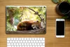 MuchoWow® Laptop Aufkleber Sticker Cover Panda - Holz - Produktbild-Vorschau 2