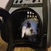 Purlov Hunde-/Katzentrage - schwarz Produktbild-Vorschau 17