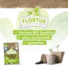 Artikelbild 3 von 'BIO Winterkopfsalat Wintermarie' aus der Kategorie Kopfsalatsamen Produktbild-Vorschau