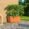 PLASTIA s.r.o. Truhlík samozavlažovací Siesta LUX terakota Náhled obrázku produktu 13