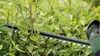Akku-Heckenschere UniversalHedgeCut 18V-55 Produktbild-Vorschau 11