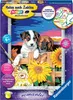 Ravensburger Malen-nach-Zahlen Welpen im Sonnenuntergang Produktbild-Vorschau 1