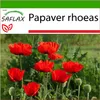SAFLAX - mák - Papaver rhoeas - 27000 Semena - S pěstebním Náhled obrázku produktu 10