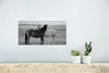 MuchoWow® Poster Pferde - Tiere - Porträt - Schwarz-Weiß - Produktbild-Vorschau 5