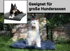 Two dogs are shown on dog beds in an outdoor setting with a brick wall and greenery in the background. The main image features a white, fluffy dog sitting on a dark gray dog bed. An inset image shows a black and white dog lying on a similar dark gray dog b Produktbild-Vorschau