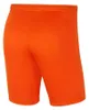 Nike Kurze Hose für Herren in unifarben uni O24-0085991 Produktbild-Vorschau 4