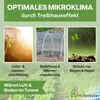 TTL GARDEN PE Frühbeetfolie 10x3m gelocht 20g/m² Produktbild-Vorschau 4