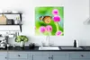 MuchoWow® Poster Landleben - Schmetterling - Distel - Blume Produktbild-Vorschau 3
