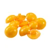 10 x Kinderknopf Ösenknopf 1-Loch, rund, 15 mm, freie Produktbild-Vorschau 1