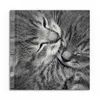 DEQORI Glasbild Echtglas 30x30 cm 'Sanfte Träume' Wandbild Produktbild-Vorschau 2