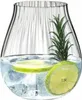 Riedel GIN SET OPTIC "O" 4 Stück 551500067 Anteprima dell’immagine prodotto 7