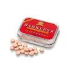 Barkleys Mini Mints Pastylki o smaku cynamonu bez cukru 15g Podgląd zdjęcia produktu 2