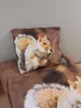 Set di biancheria da letto con scoiattolo 135 x 200 cm 80 x Anteprima dell’immagine prodotto 5