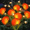 Lampade solari per la decorazione del giardino luci solari Anteprima dell’immagine prodotto 14