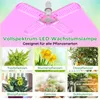 A collage of images showcasing a grow light and various plants, with German text describing the product and its uses. Produktbild-Vorschau